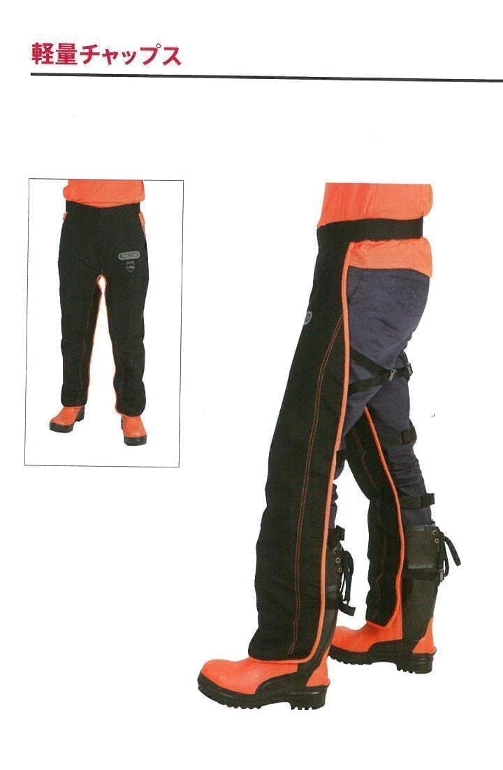 オレゴンチャップス